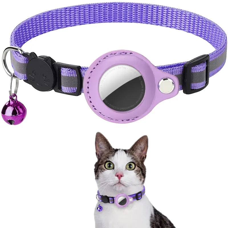 Purple pet collar with a bell and reflective patch, worn by a cat on a white background